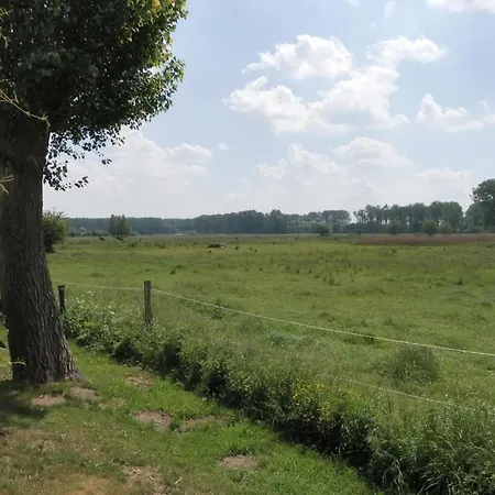 Apartment Haffblick Whg Ha54 Boltenhagen (Ostseebad)