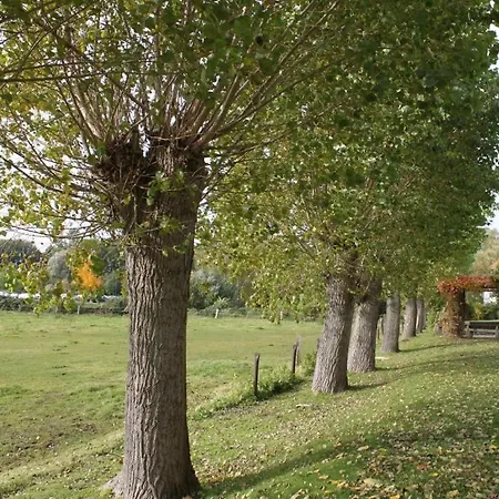 Haffblick Whg Ha54 Boltenhagen (Ostseebad)